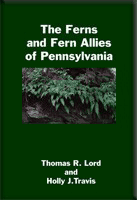 PA - Fern Collection